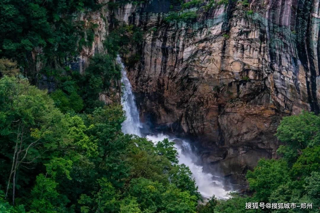 逗小猴开心系列177